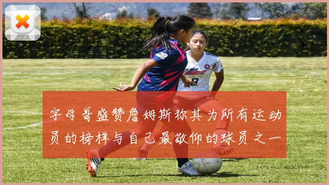 字母哥盛赞詹姆斯称其为所有运动员的榜样与自己最敬仰的球员之一