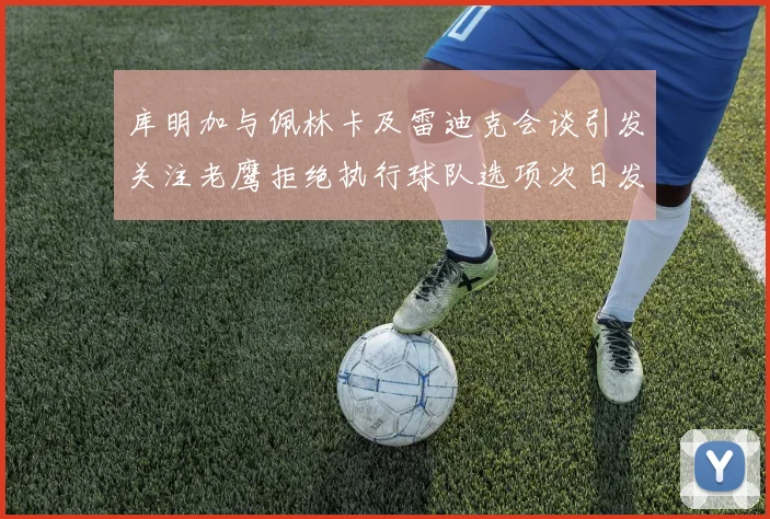 库明加与佩林卡及雷迪克会谈引发关注老鹰拒绝执行球队选项次日发生